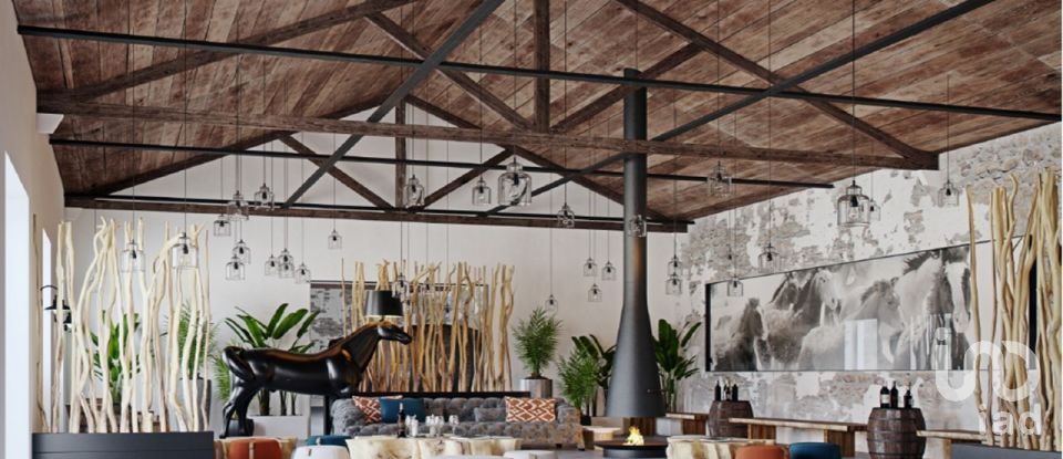 Loja / Estabelecimento Comercial em Vila Chã de Ourique de 2 845 m²