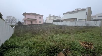 Building plot in Santa Cruz/Trindade E Sanjurge of 440 m²