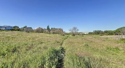 Terrain à bâtir à Montenegro de 1 120 m²