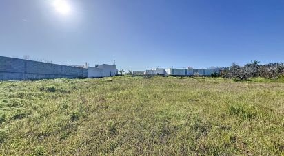 Terrain à bâtir à Montenegro de 1 120 m²