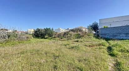 Terrain à bâtir à Montenegro de 1 120 m²