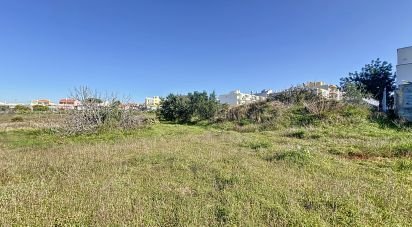 Terrain à bâtir à Montenegro de 1 120 m²