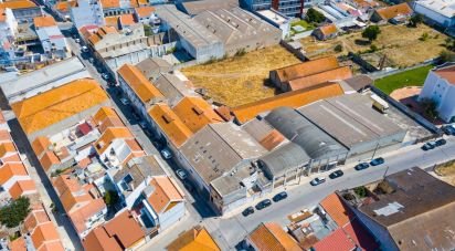 Terrain à Montijo e Afonsoeiro de 7 315 m²