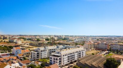 Terrain à Montijo e Afonsoeiro de 7 315 m²