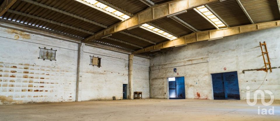 Land in Montijo e Afonsoeiro of 7,315 m²