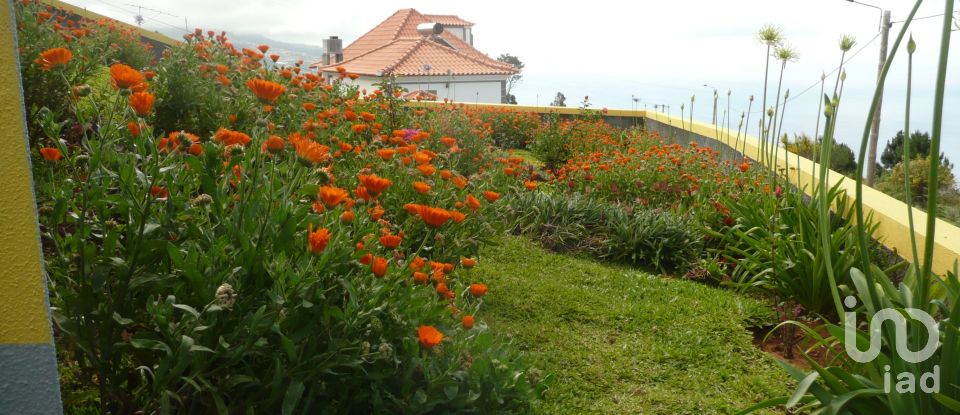 Lodge T3 in Prazeres of 144 m²