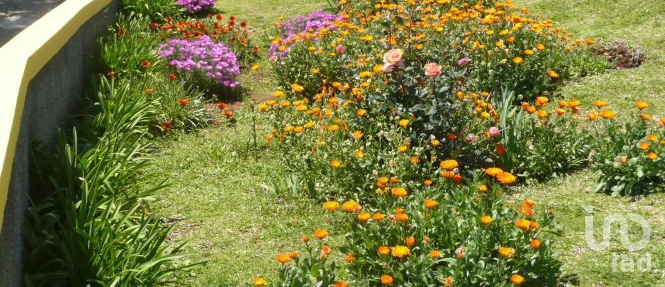 Lodge T3 in Prazeres of 144 m²