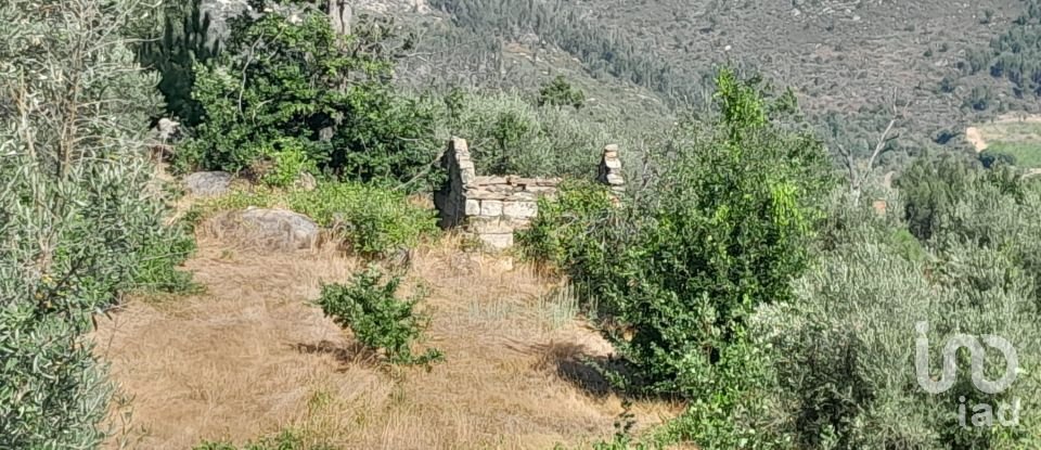 Terrain à Seixo da Beira de 3 000 m²