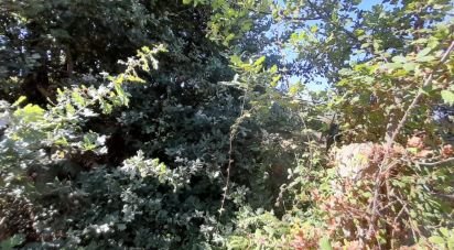 Terrain à Seixo da Beira de 3 000 m²