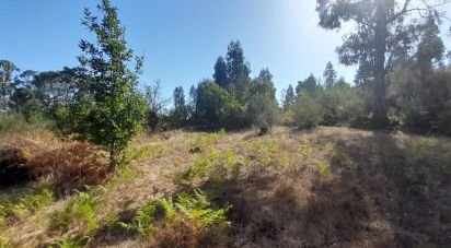 Terrain à Seixo da Beira de 3 000 m²