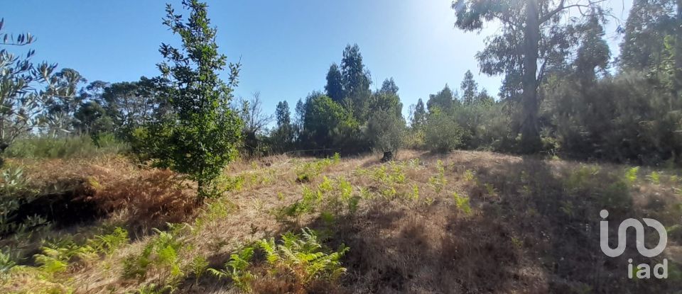 Terrain à Seixo da Beira de 3 000 m²