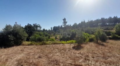 Terrain à Seixo da Beira de 3 000 m²