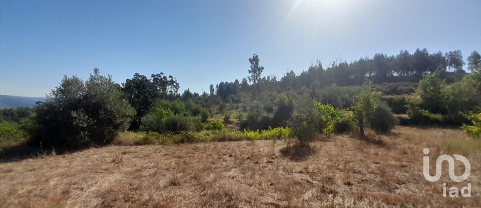 Terrain à Seixo da Beira de 3 000 m²