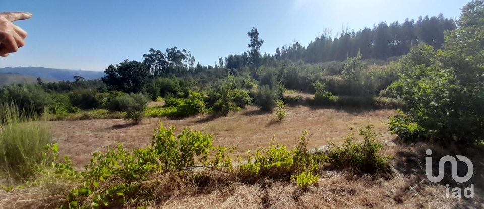 Terrain à Seixo da Beira de 3 000 m²