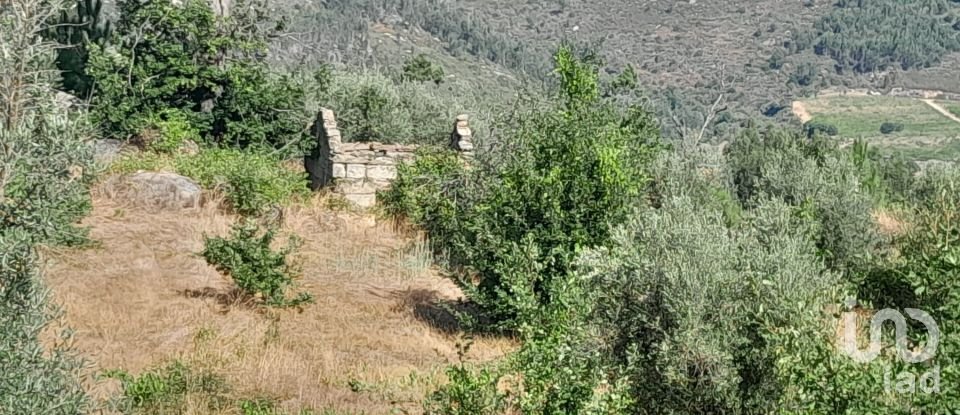 Terrain à Seixo da Beira de 3 000 m²