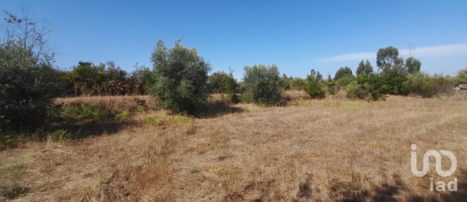 Terrain à Seixo da Beira de 3 000 m²