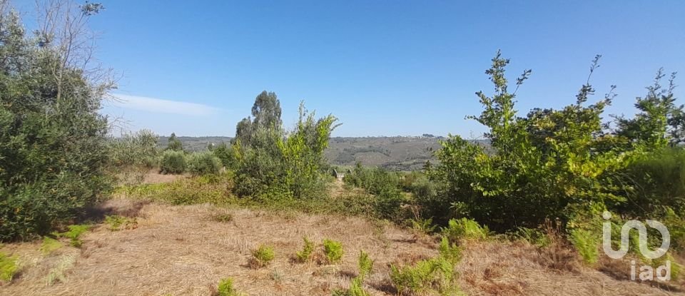 Terrain à Seixo da Beira de 3 000 m²