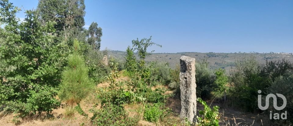 Terrain à Seixo da Beira de 3 000 m²