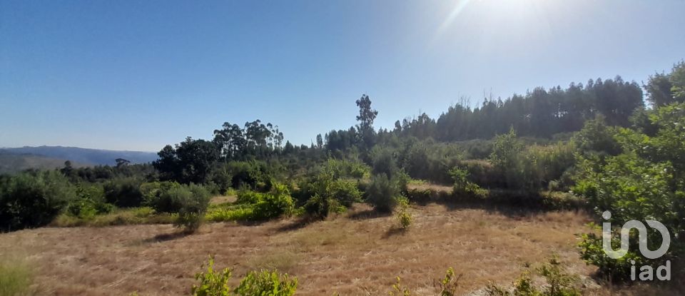 Terrain à Seixo da Beira de 3 000 m²