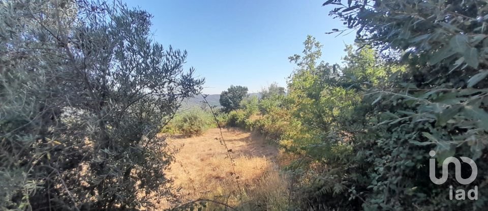 Terrain à Seixo da Beira de 3 000 m²