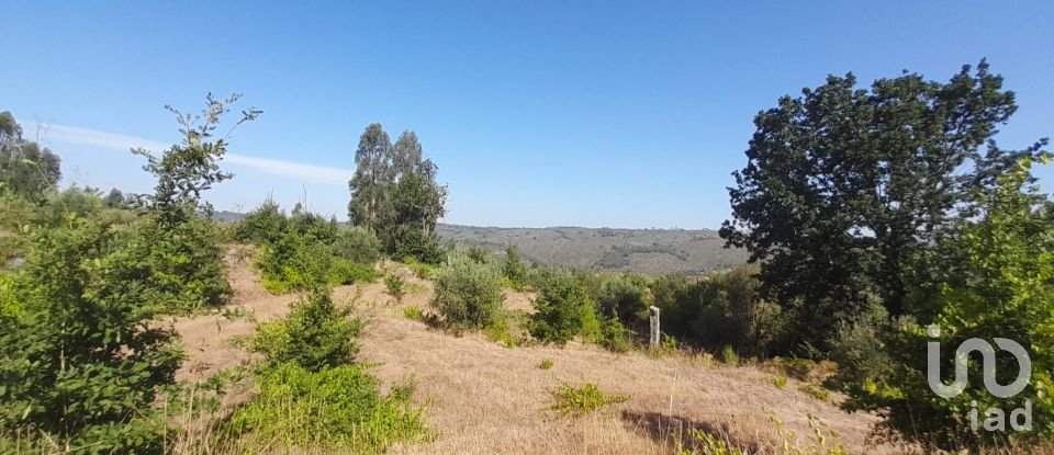 Terrain à Seixo da Beira de 3 000 m²