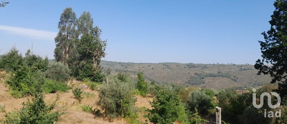 Terrain à Seixo da Beira de 3 000 m²