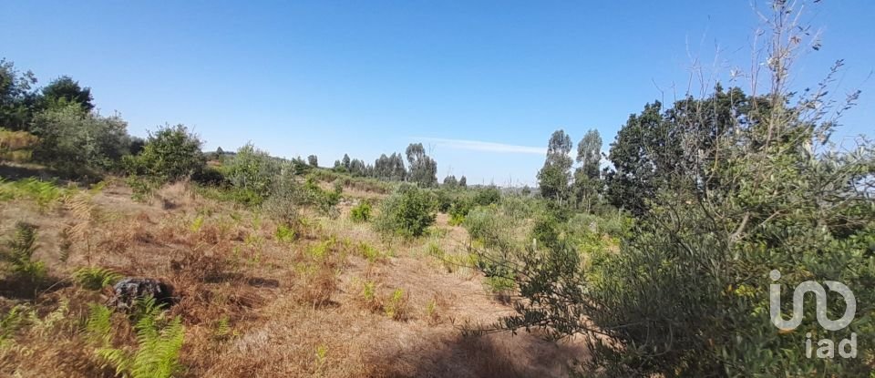 Terrain à Seixo da Beira de 3 000 m²