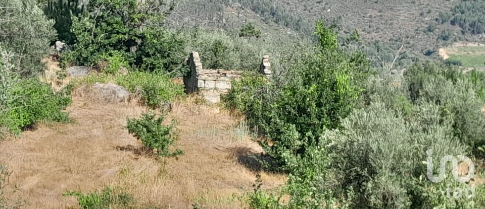 Terrain à Seixo da Beira de 3 000 m²