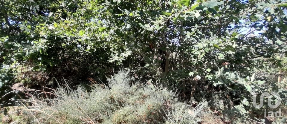 Terrain à Seixo da Beira de 3 000 m²