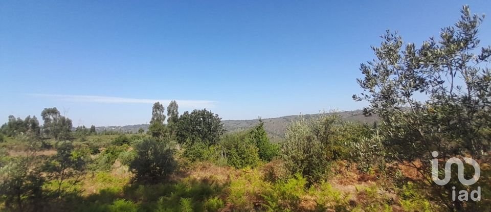 Terrain à Seixo da Beira de 3 000 m²