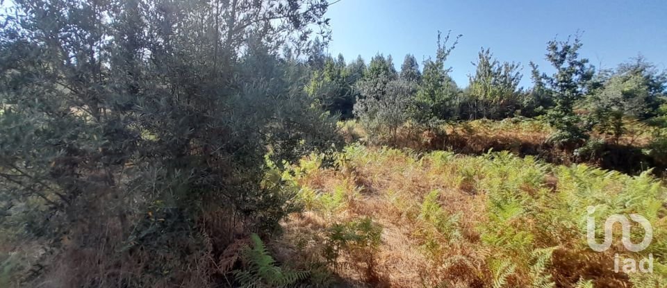 Terrain à Seixo da Beira de 3 000 m²