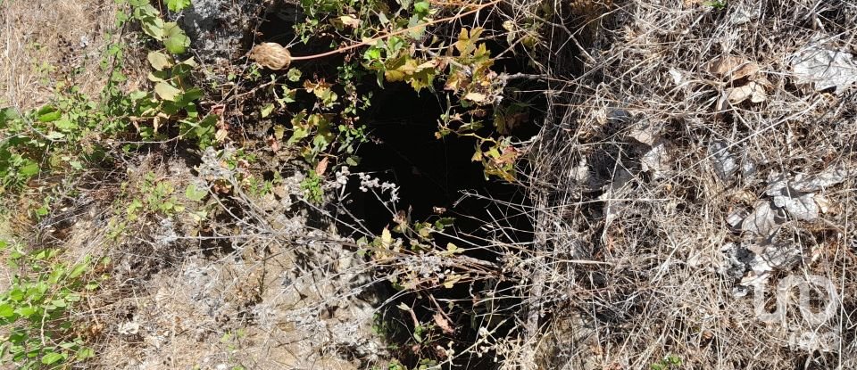 Terrain à Seixo da Beira de 3 000 m²