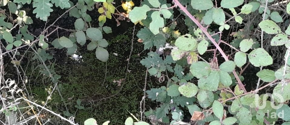 Terrain à Seixo da Beira de 3 000 m²