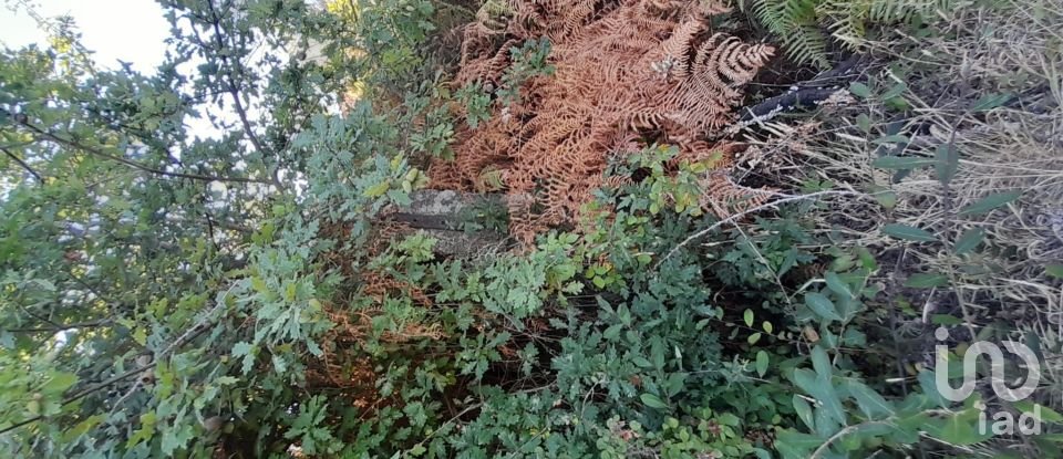 Terrain à Seixo da Beira de 3 000 m²