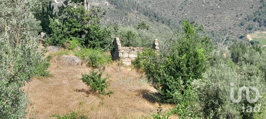 Terrain à Seixo da Beira de 3 000 m²