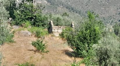 Terrain à Seixo da Beira de 3 000 m²