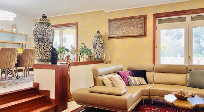 House T4 in Modivas of 416 m²