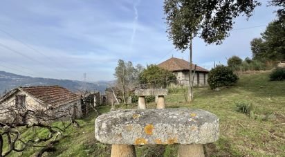 Ferme T5 à Oliveira do Douro de 292 m²