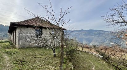 Ferme T5 à Oliveira do Douro de 292 m²