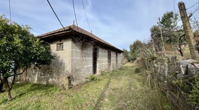 Ferme T5 à Oliveira do Douro de 292 m²