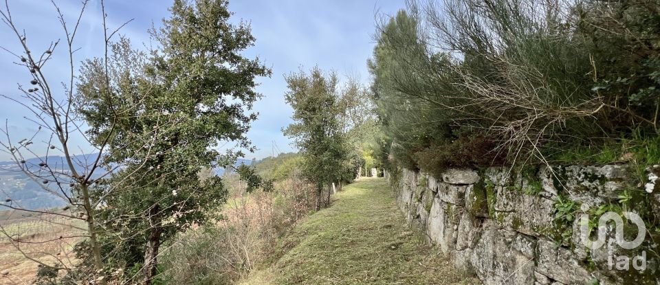 Farm T5 in Oliveira do Douro of 292 m²