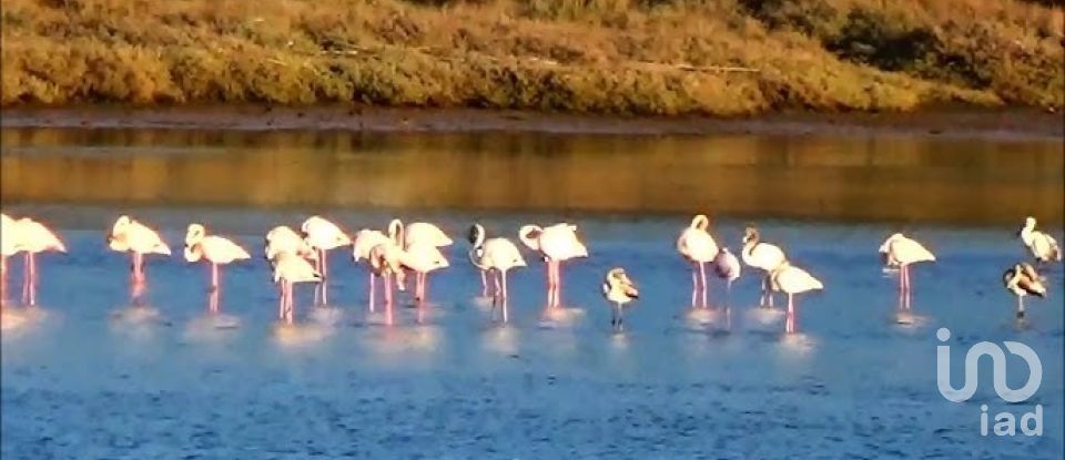 Building plot in Nadadouro of 930 m²