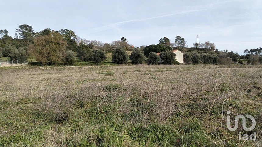Terreno em Tomar (São João Baptista) e Santa Maria dos Olivais de 13 080 m²
