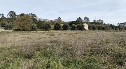 Terrain à Tomar (São João Baptista) e Santa Maria dos Olivais de 13 080 m²