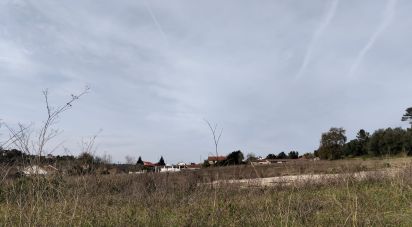 Terrain à Tomar (São João Baptista) e Santa Maria dos Olivais de 13 080 m²