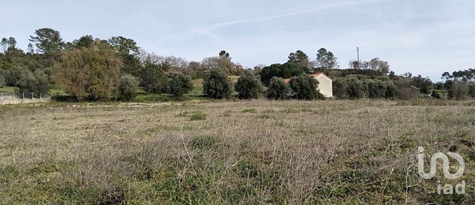 Terreno em Tomar (São João Baptista) e Santa Maria dos Olivais de 13 080 m²