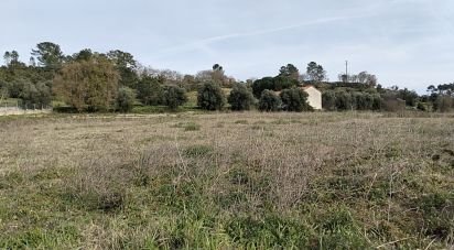 Terrain à Tomar (São João Baptista) e Santa Maria dos Olivais de 13 080 m²