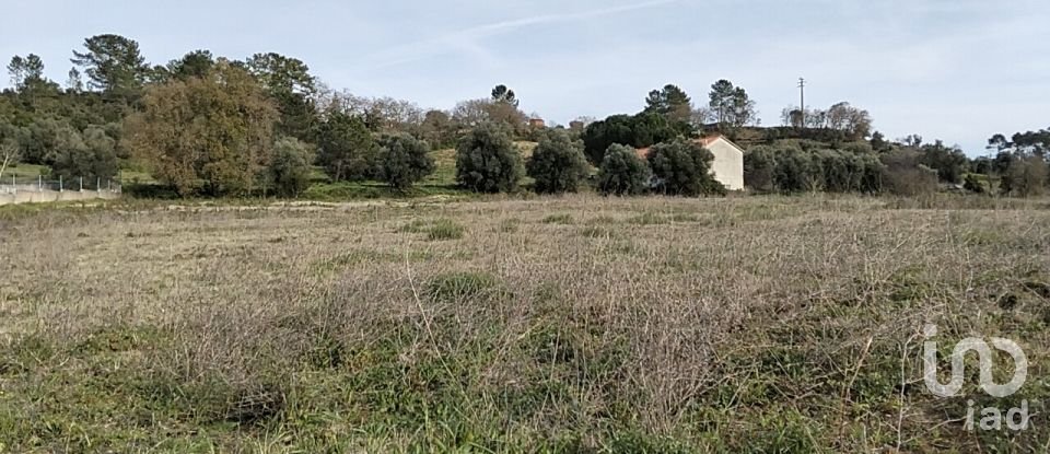 Terreno em Tomar (São João Baptista) e Santa Maria dos Olivais de 13 080 m²
