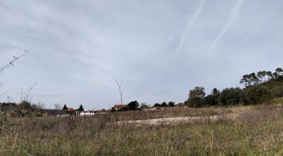 Terrain à Tomar (São João Baptista) e Santa Maria dos Olivais de 13 080 m²