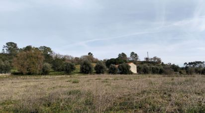 Terrain à Tomar (São João Baptista) e Santa Maria dos Olivais de 13 080 m²